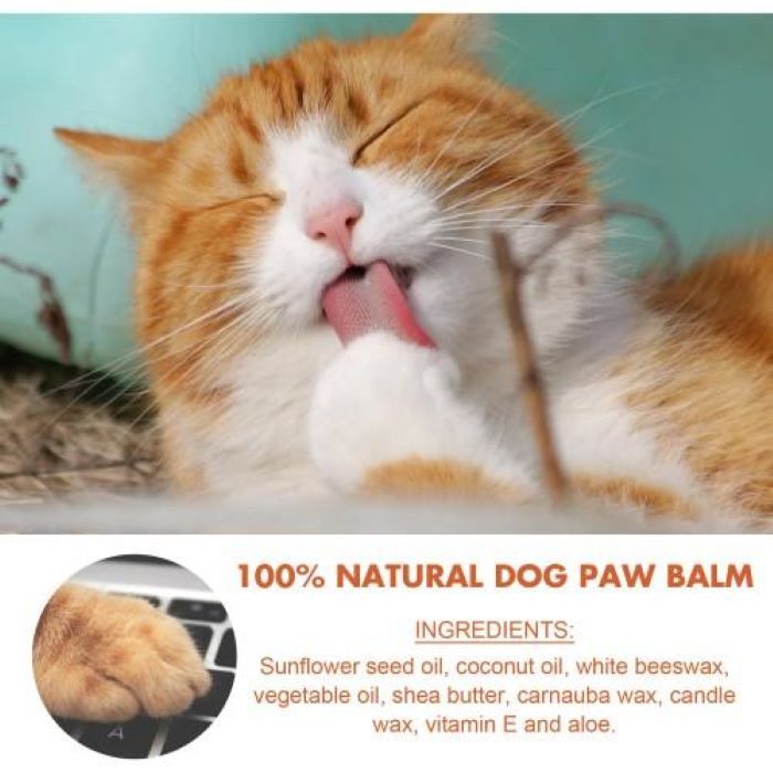 Paw Care for Cats & Dogs