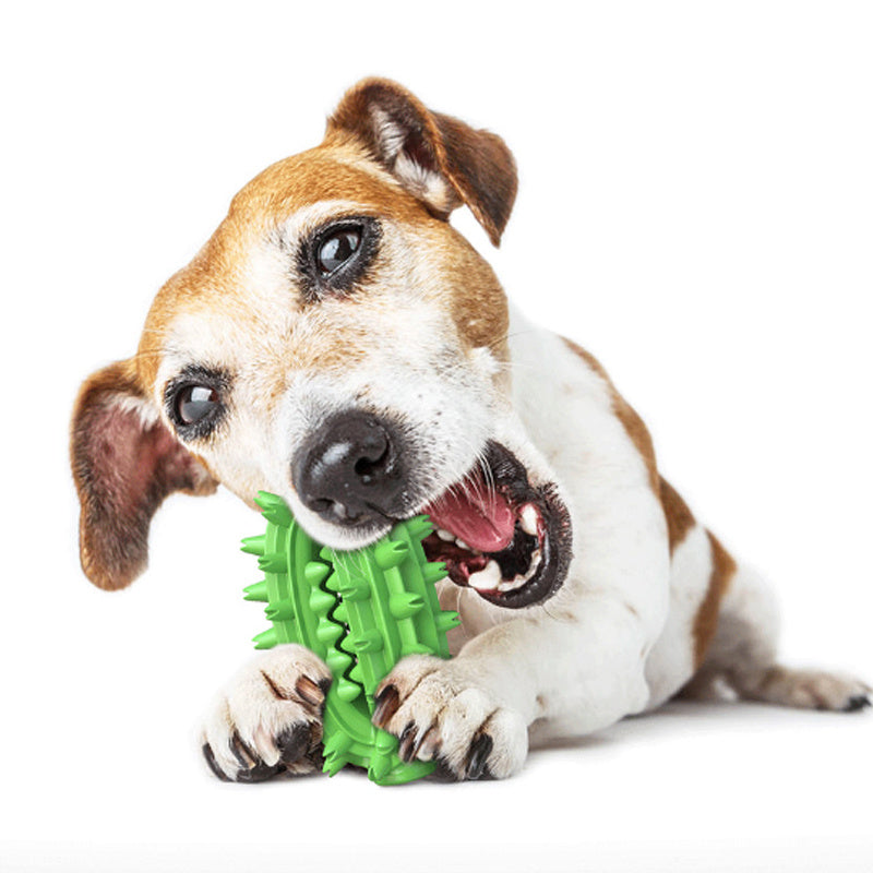 Durable Dog Toothbrush Toy for Aggressive Chewers