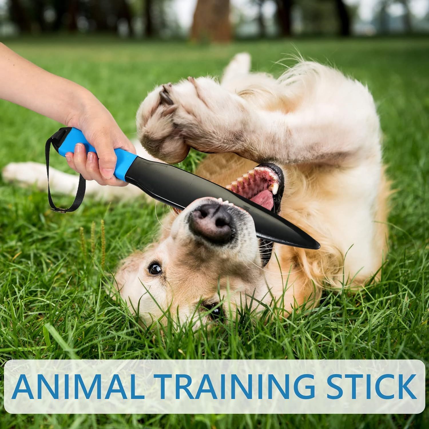 Dog Break Stick for Training and Chew Toy