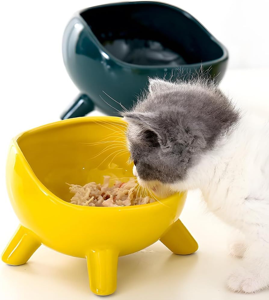 Ceramic Cat & Small Dog Food Bowl