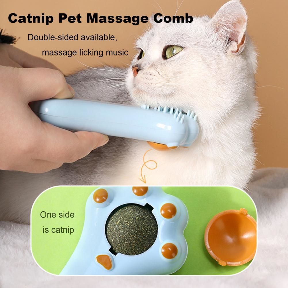 Cartoon Cat Toy & Massage Comb