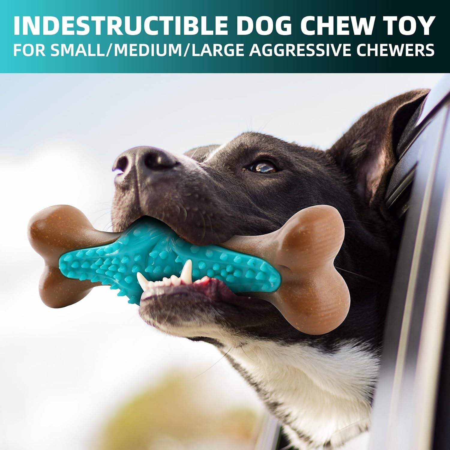 Durable Dog Chew Toy for Aggressive Chewers