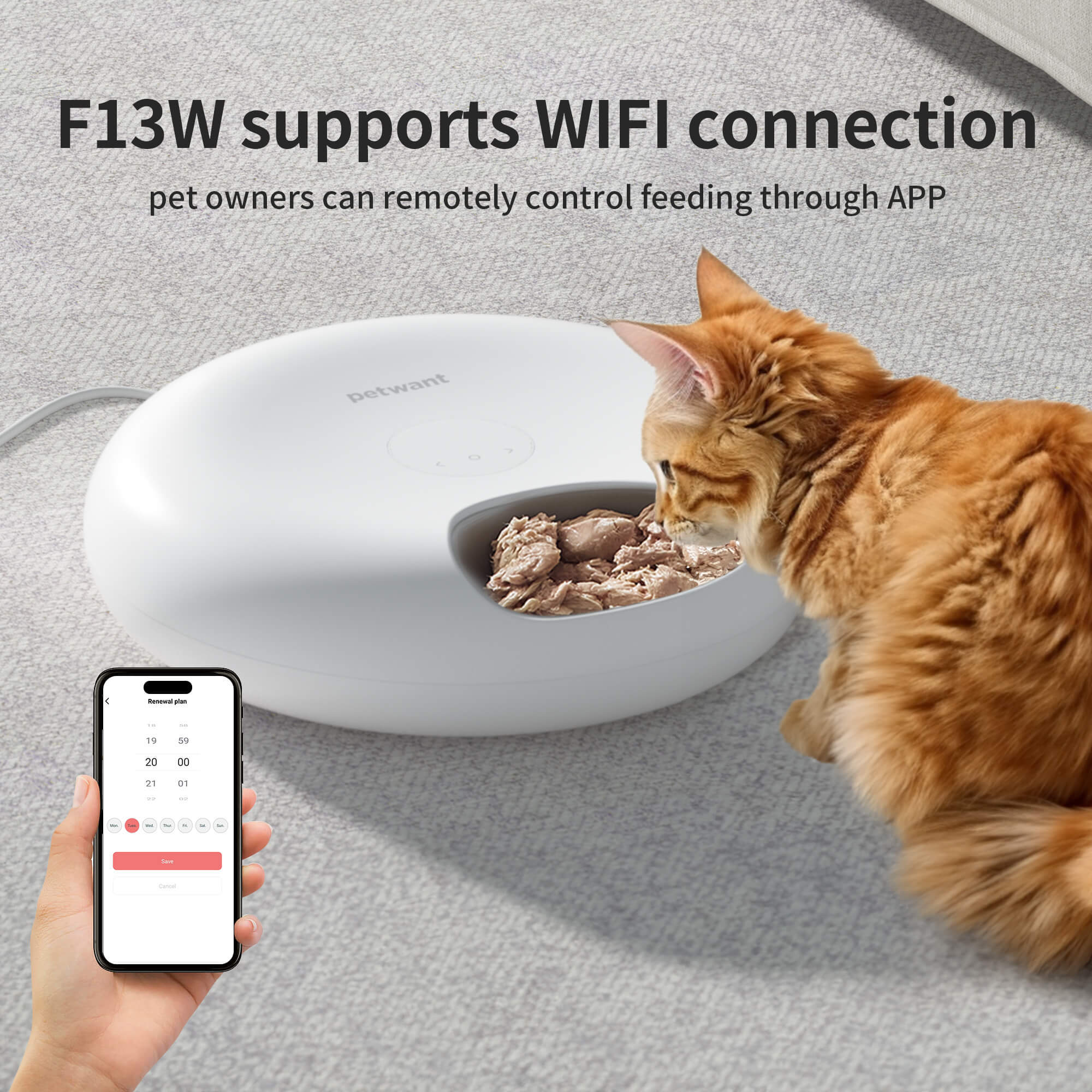 WiFi 6-Meal Automatic Cat Feeder with App Control & Ice Packs