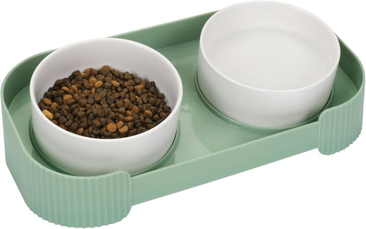 Ceramic Elevated Cat Bowls 15° Tilted Anti-Vomiting Set