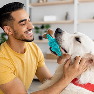 Durable Dog Chew Toy for Aggressive Chewers