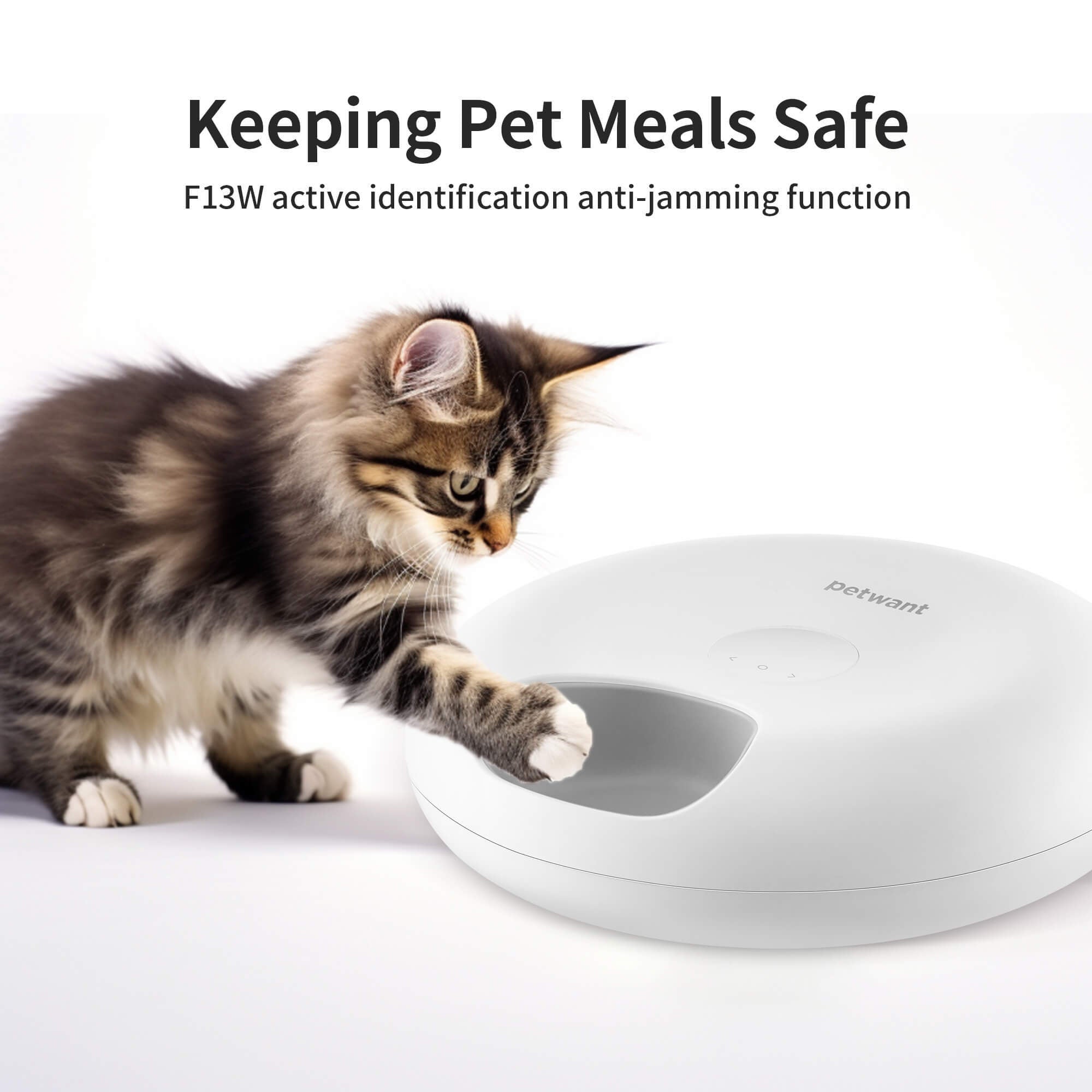 WiFi 6-Meal Automatic Cat Feeder with App Control & Ice Packs