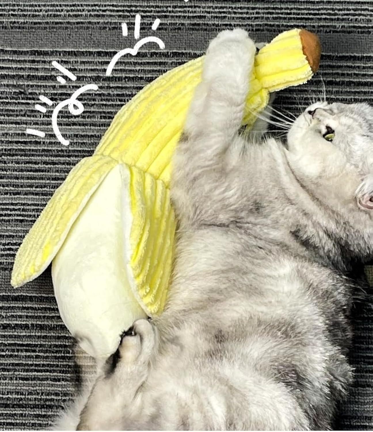 Banana Catnip Crinkle Toy