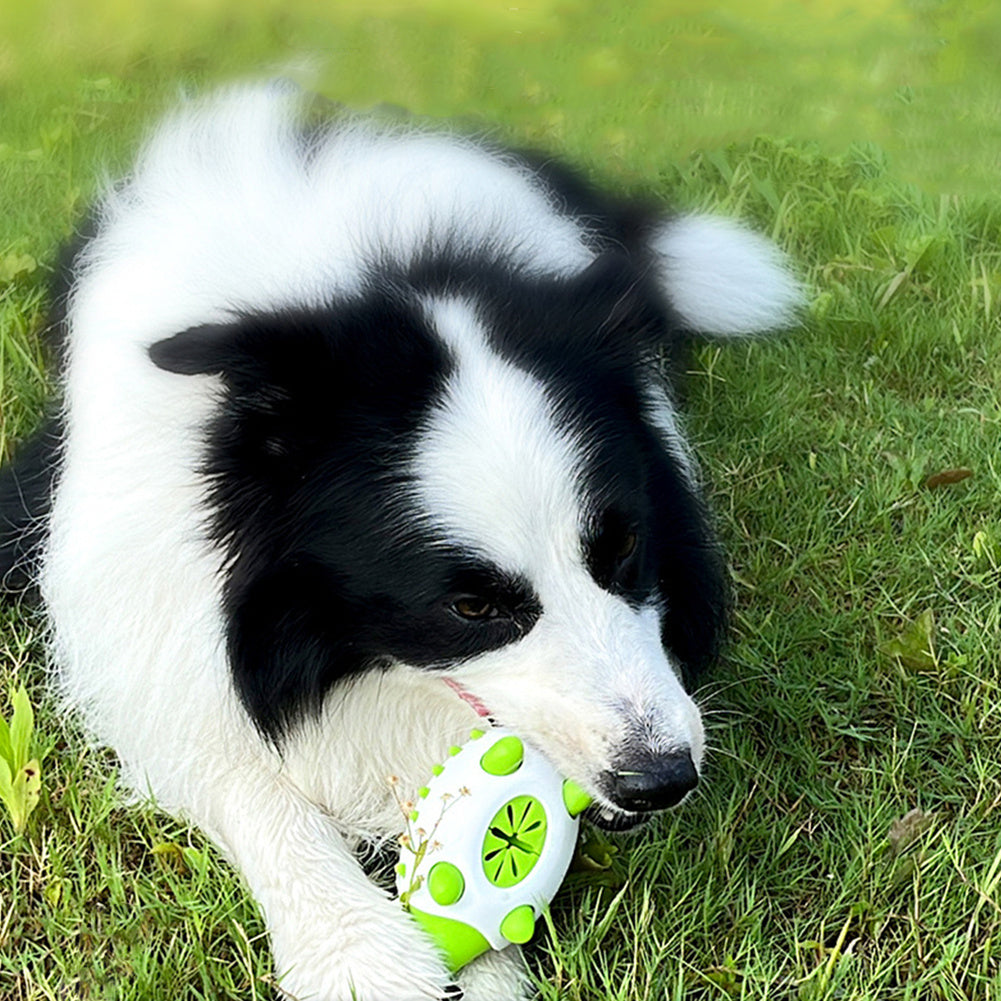 Interactive TPR Food-Dispensing Dog Toy