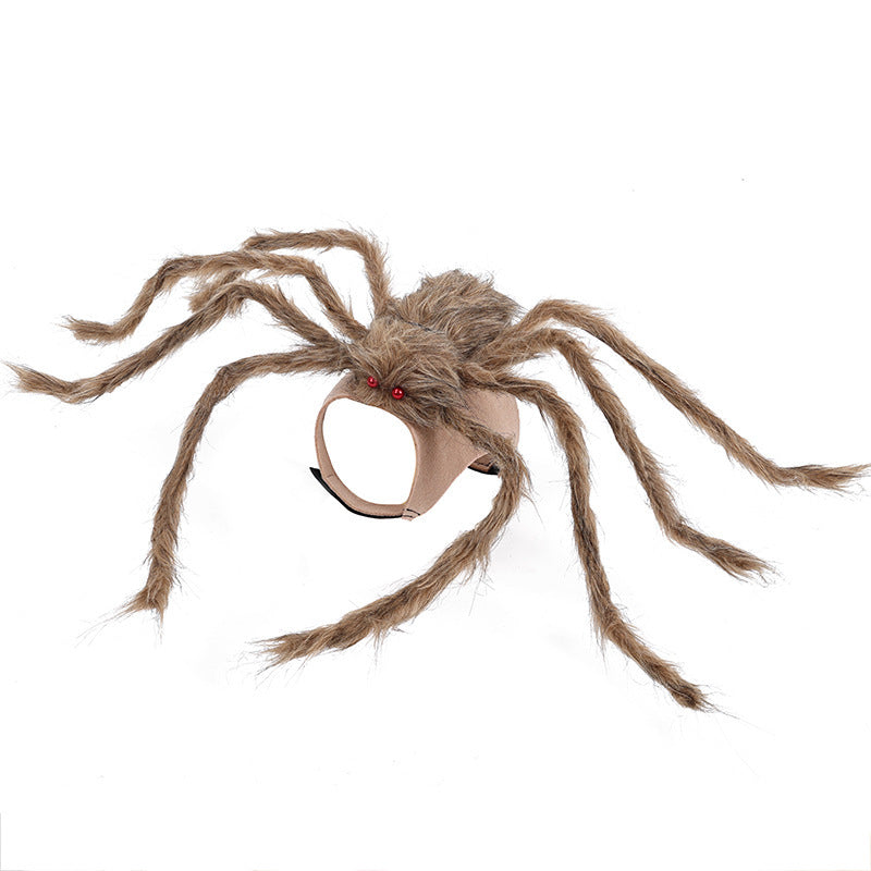 Halloween Spider Pet Costume