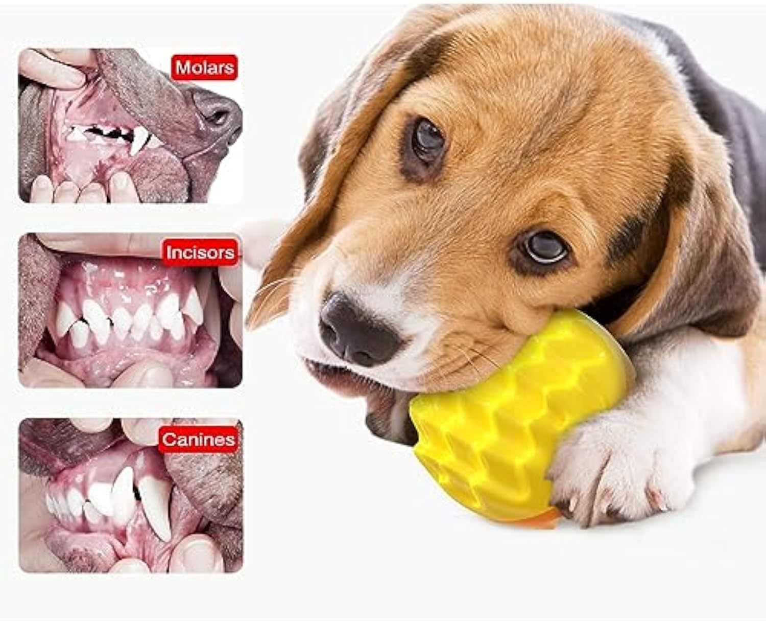 Squeaky Durable Dog Ball Toy for Aggressive Chewers