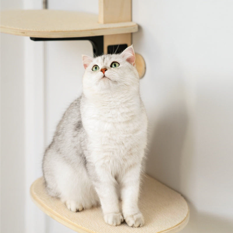 Over-the-Door Cat Tree with Hammock