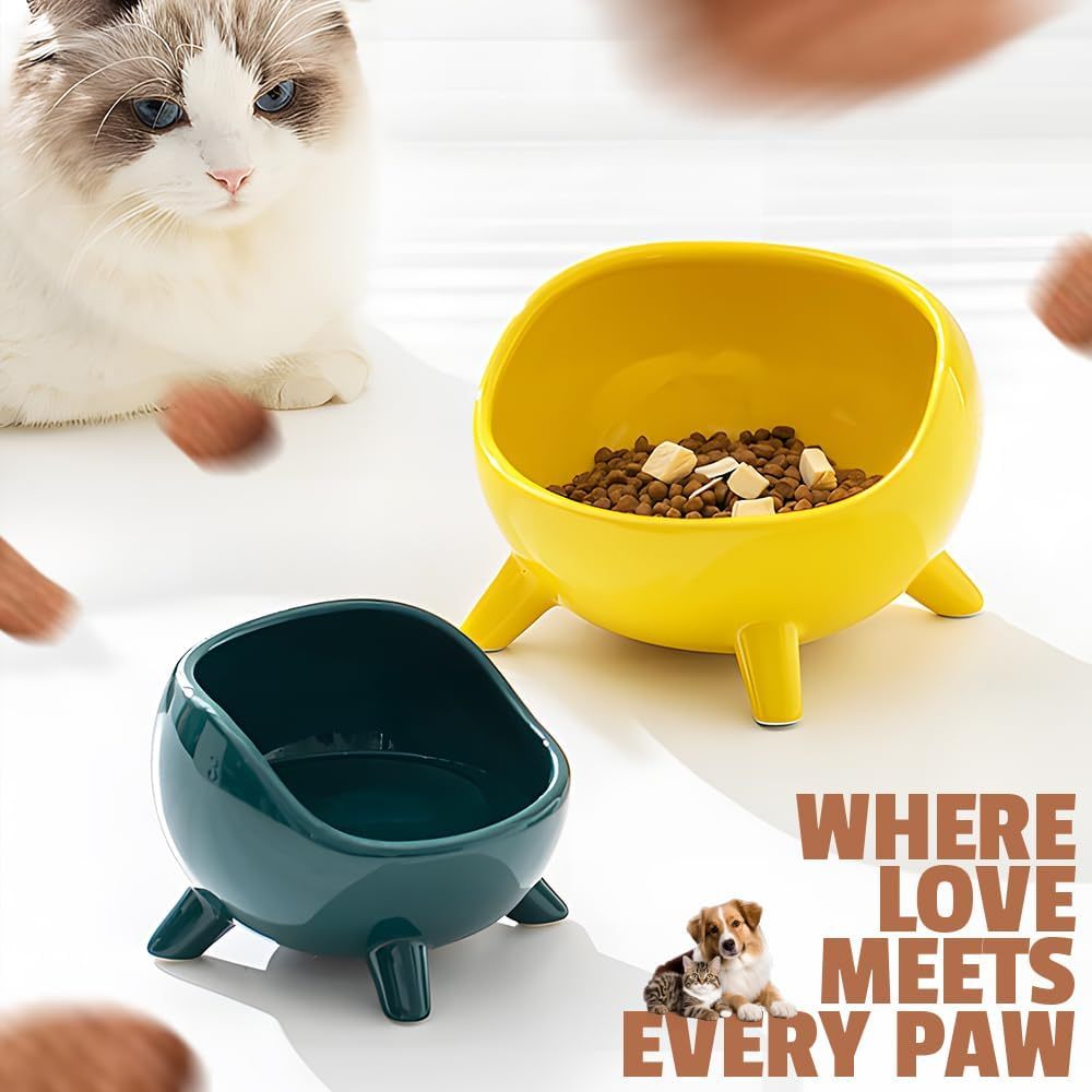 Ceramic Cat & Small Dog Food Bowl