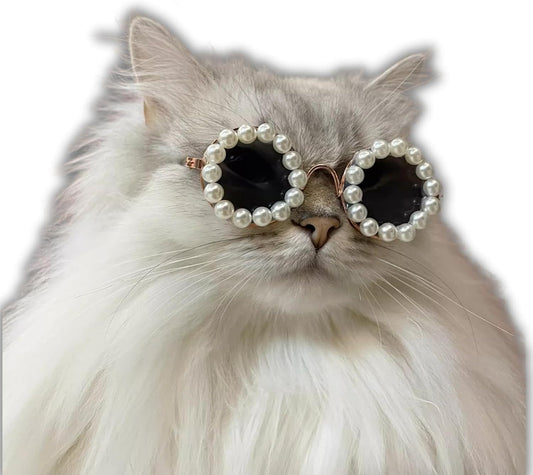 Pearl Sunglasses for Pets