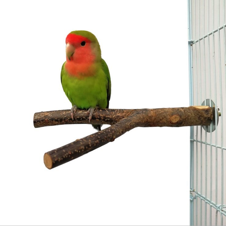 Natural Wood Bird Perch with Rattan Ring Toy