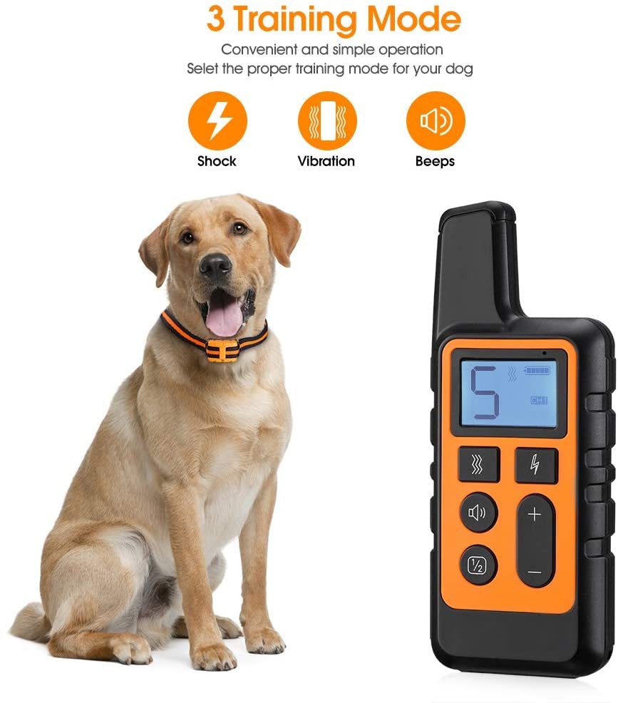 Dog Training Collar with Remote & Rechargeable Battery