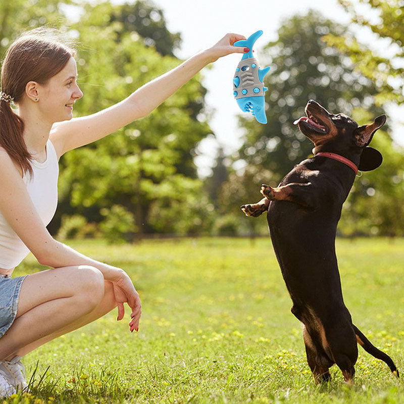 Bite-Resistant & Treat Dispensing