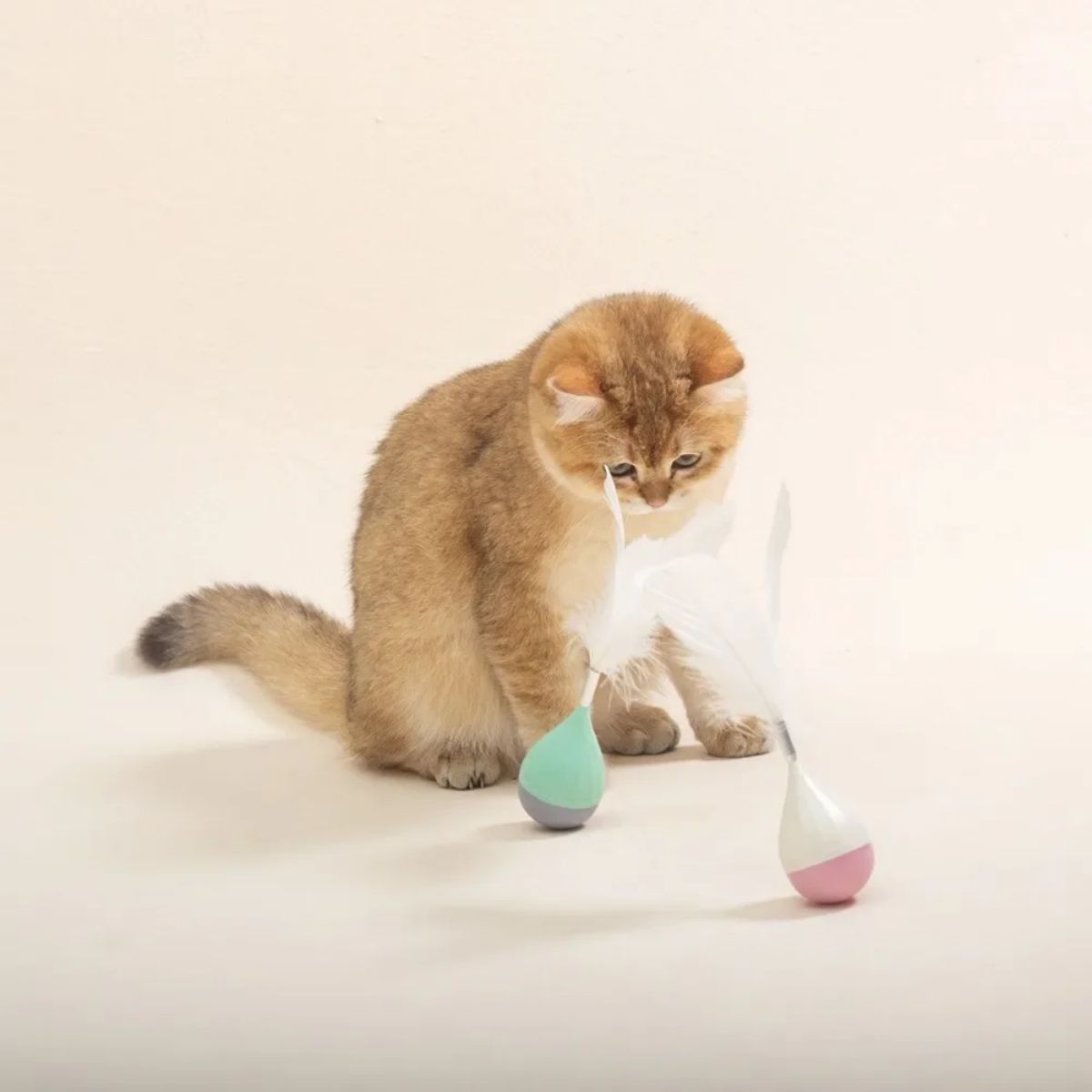 Feather Tumbler Cat Toy