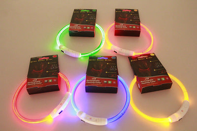 USB Rechargeable LED Pet Collar