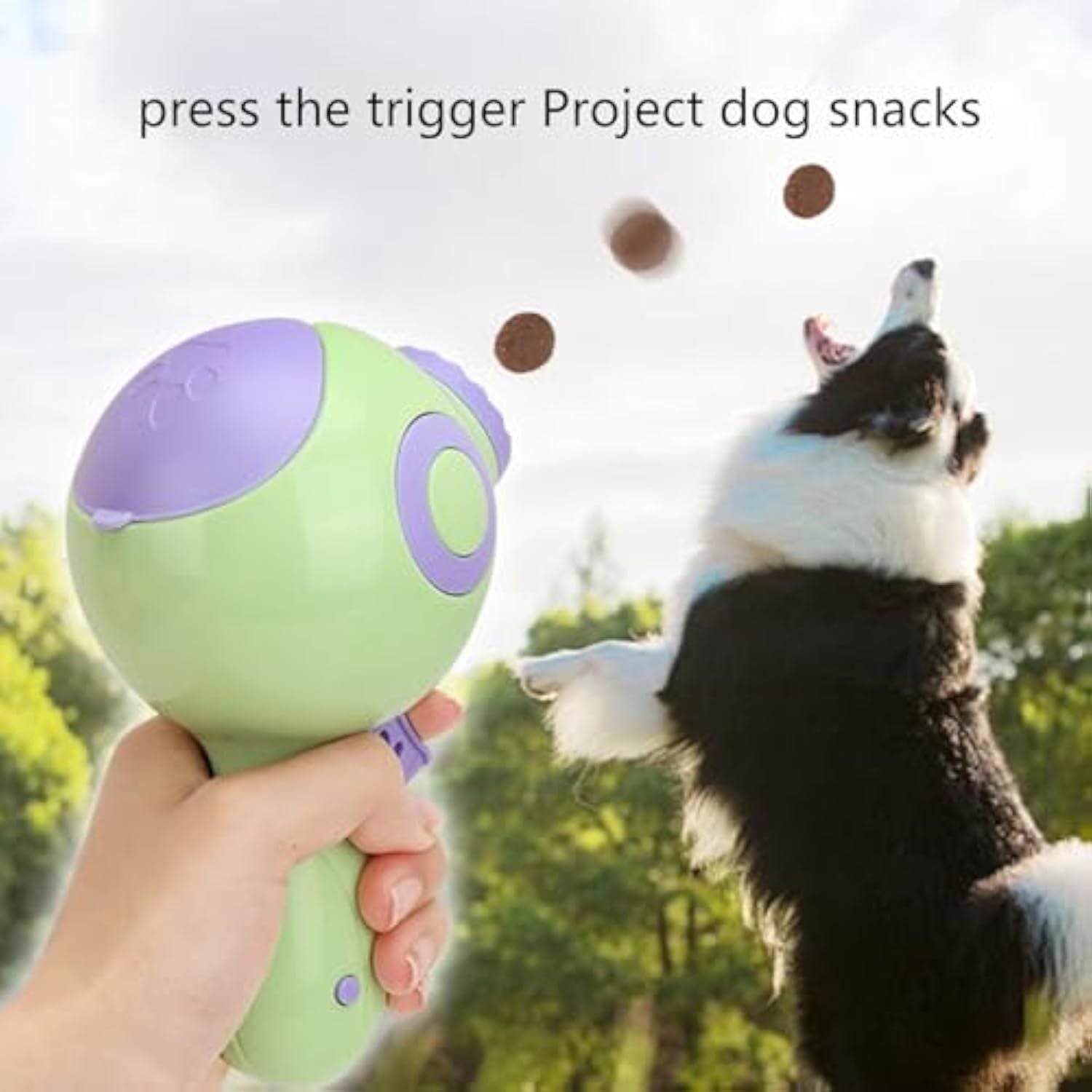 Dogs Treat Launchers Toy