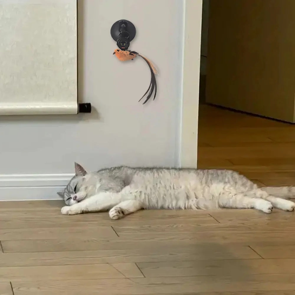 Automatic Lifting Motion Cat Toy