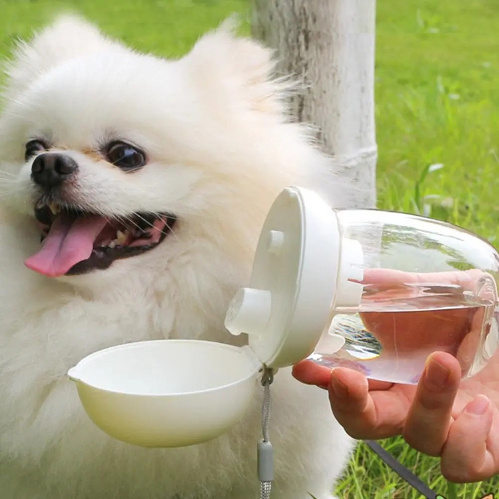 Portable Pet Water Bottle