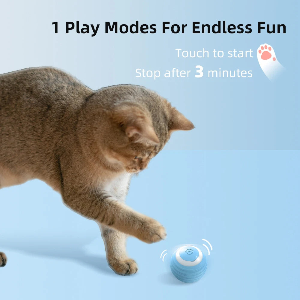 Smart Interactive Rolling Ball for Cats & Dogs