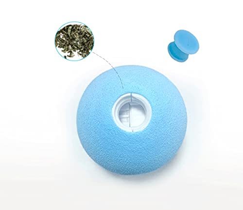 Interactive Gravity Ball Sounding Cat Toy