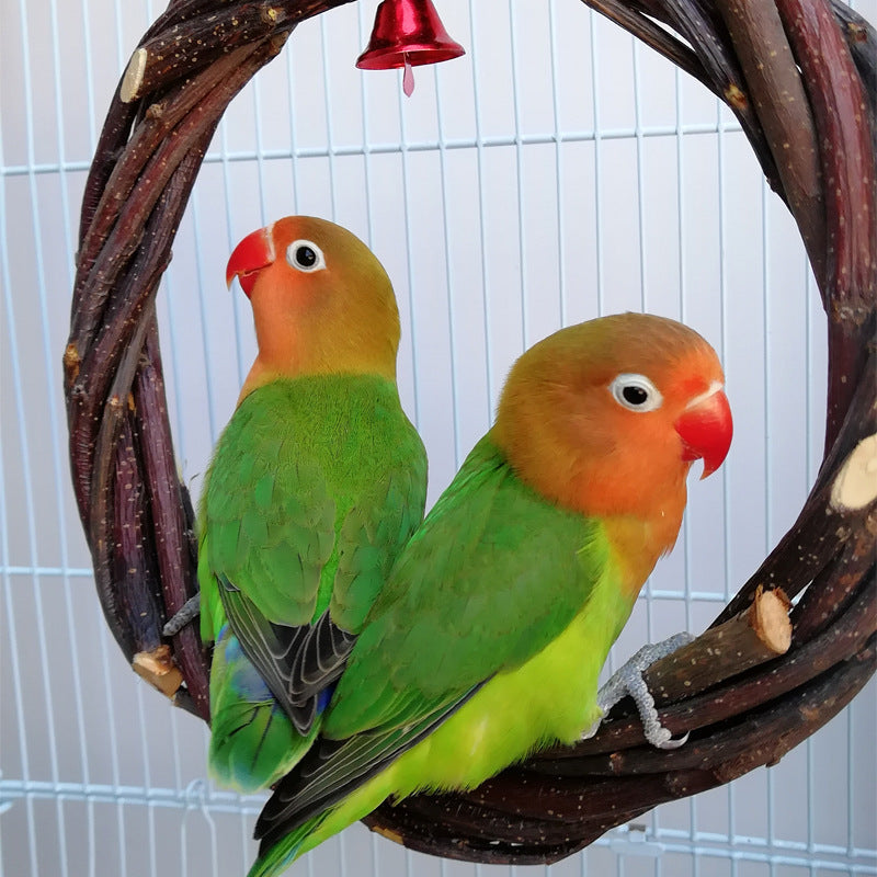 Natural Wood Bird Perch with Rattan Ring Toy