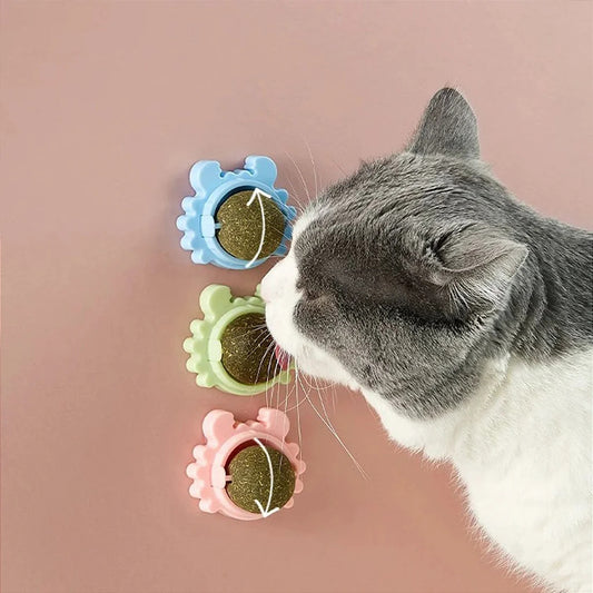 Catnip Toy Ball for Cats