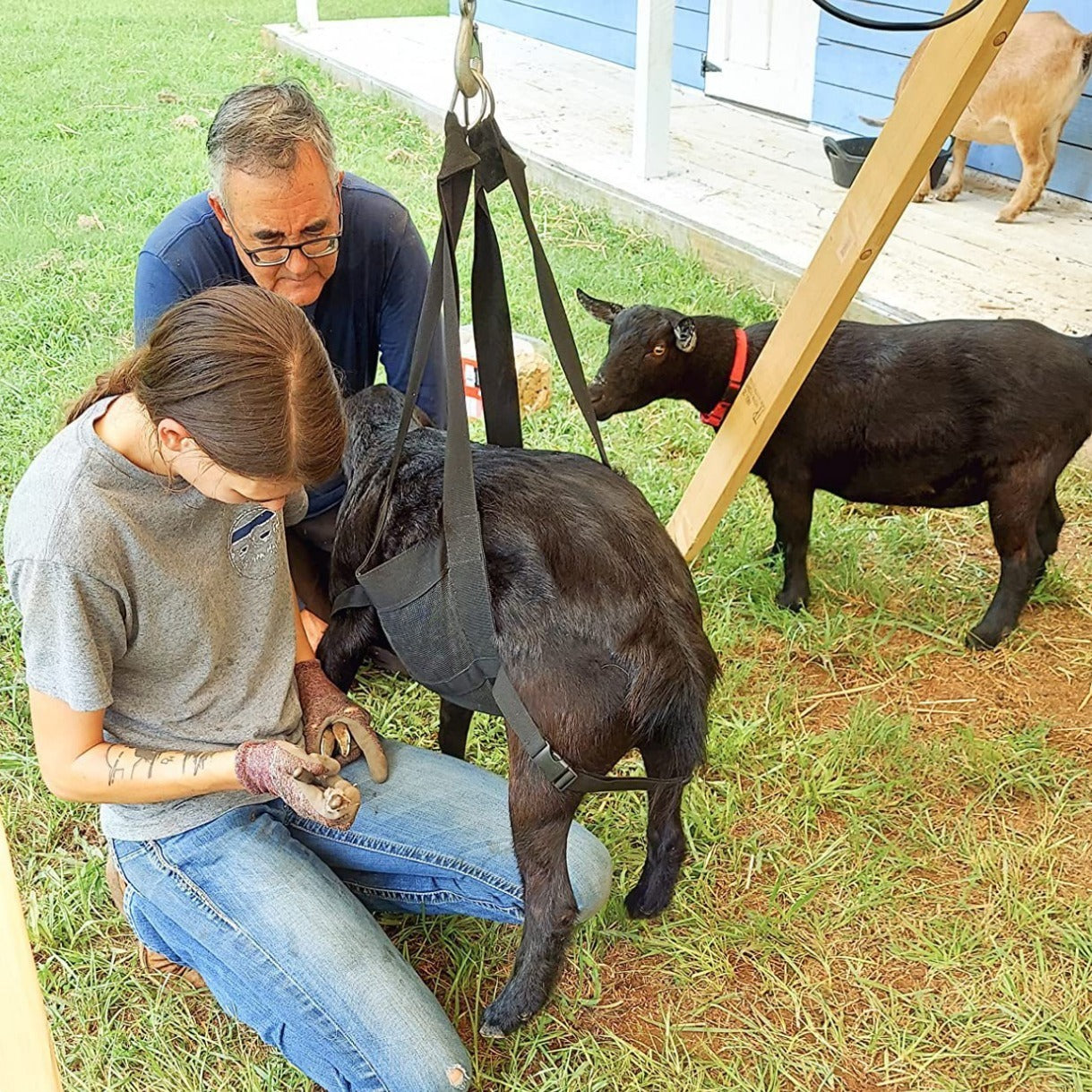 Large Dog & Livestock Weighing Sling