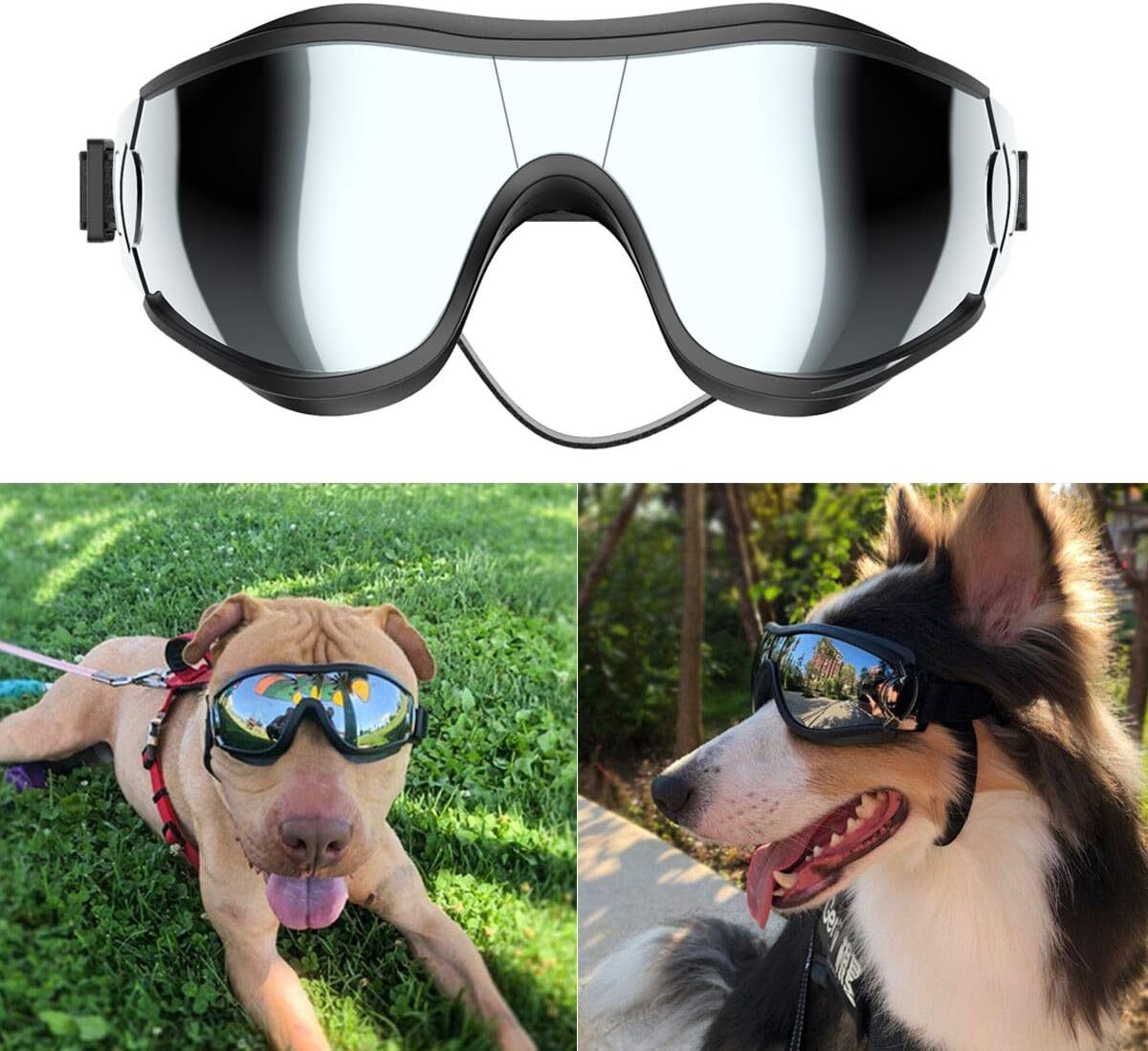 Dog Sunglasses