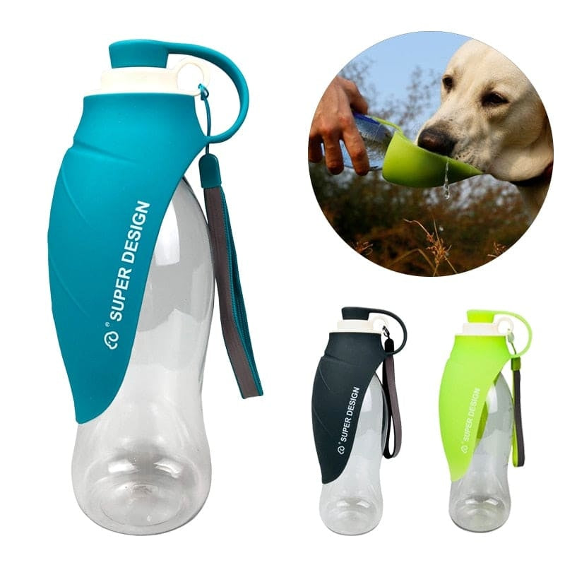 20 OZ Pet Water Bottle