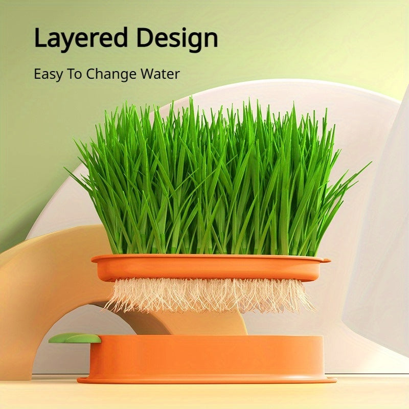 Carrot Design Cat Grass Kit with Planting Box and Seeds