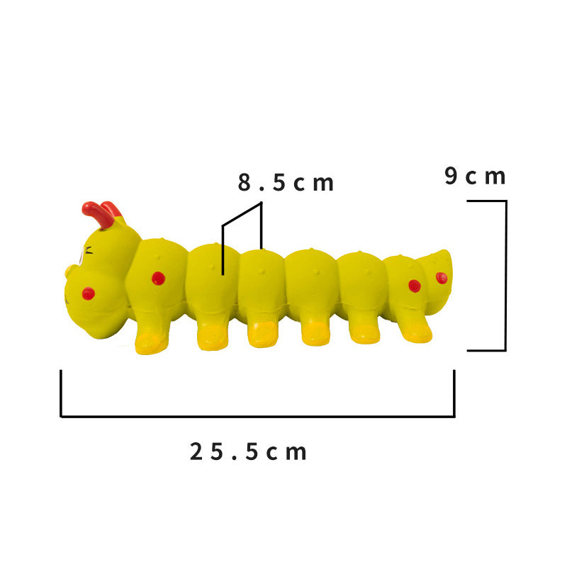 Interactive Chew & Molar Toy