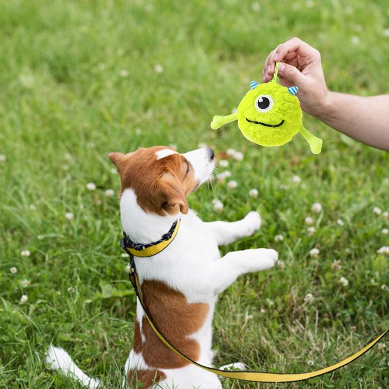 Interactive Teething Ball