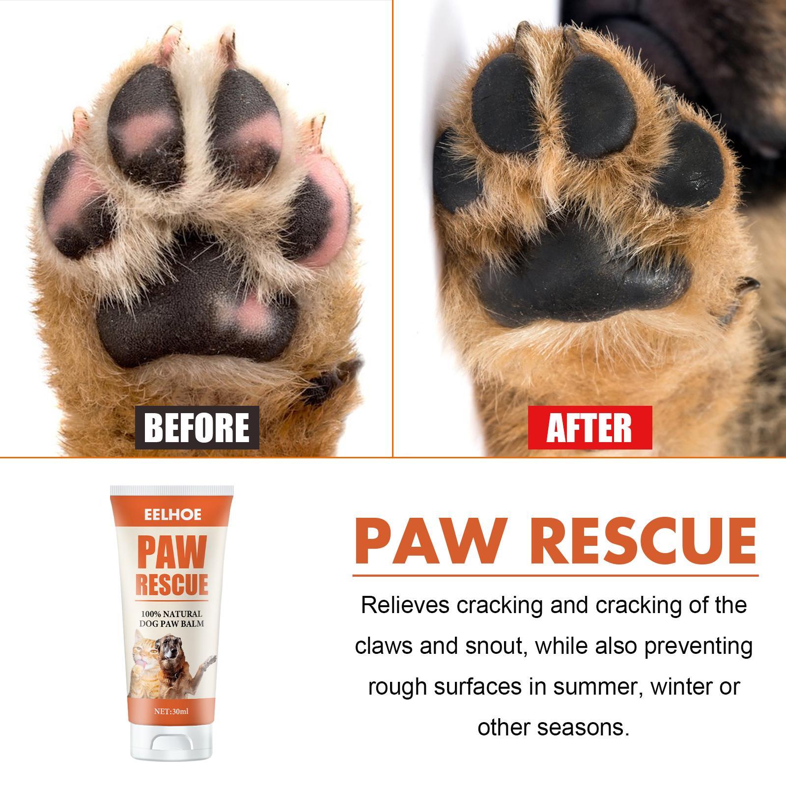 Paw Care for Cats & Dogs