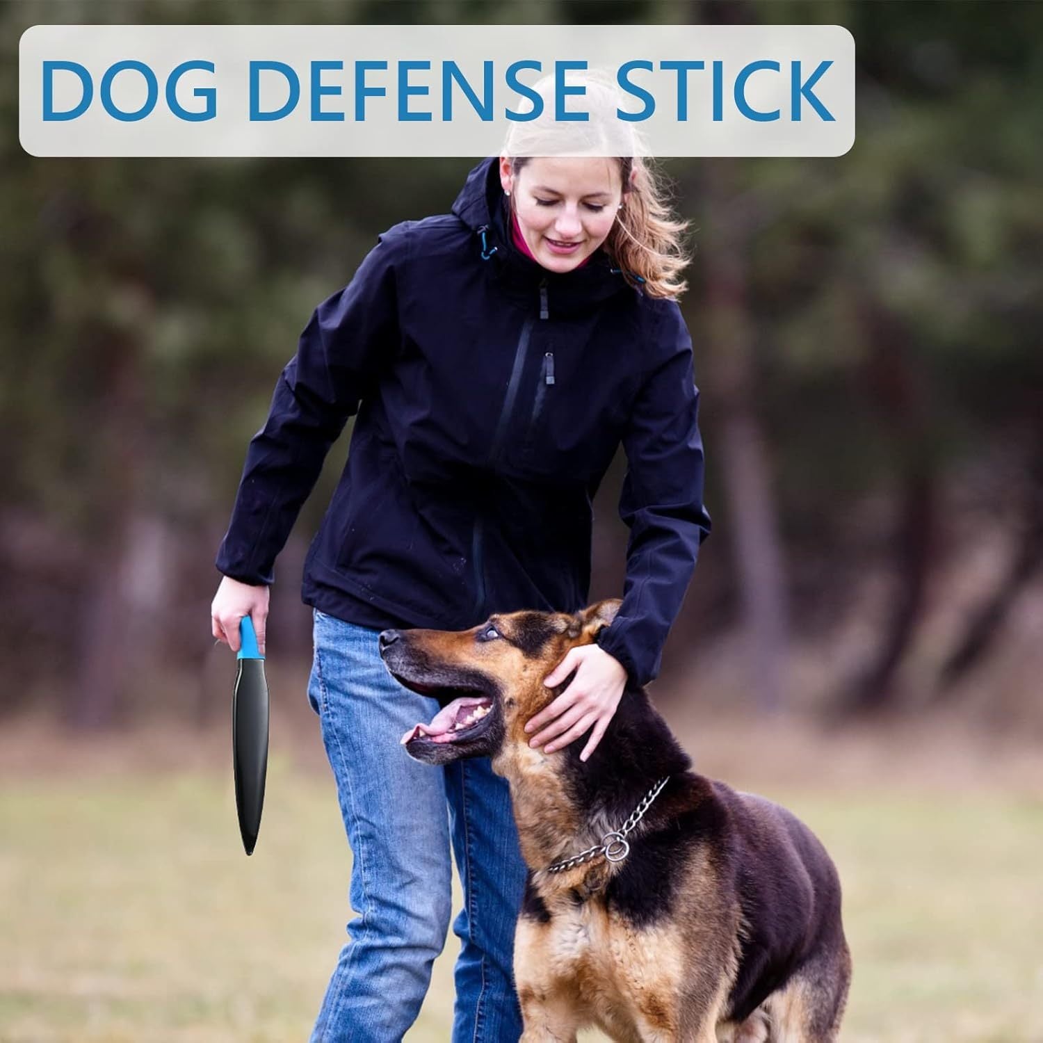 Dog Break Stick for Training and Chew Toy