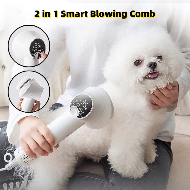 Quiet 2-in-1 Pet Hair Dryer & Comb