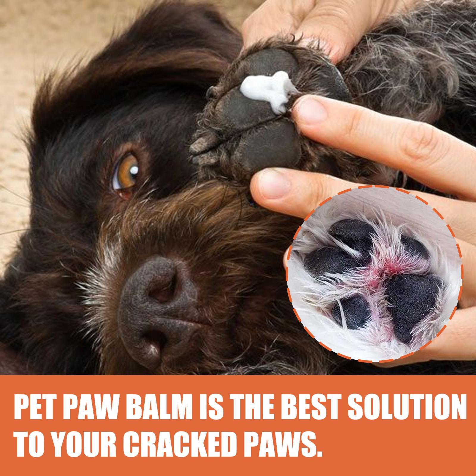 Paw Care for Cats & Dogs