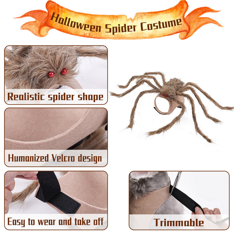 Halloween Spider Pet Costume