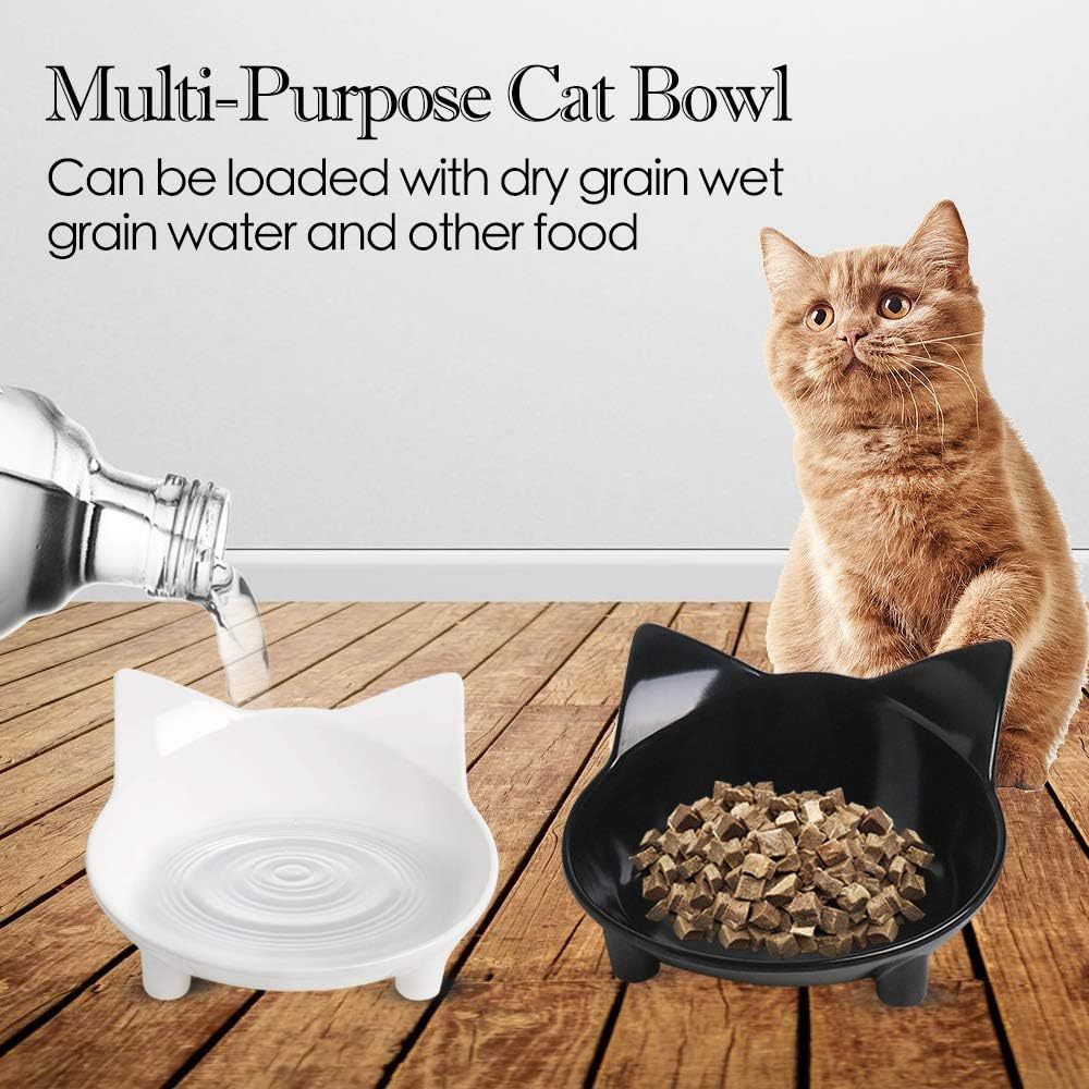 Non-Slip Cat Food and Water Bowl