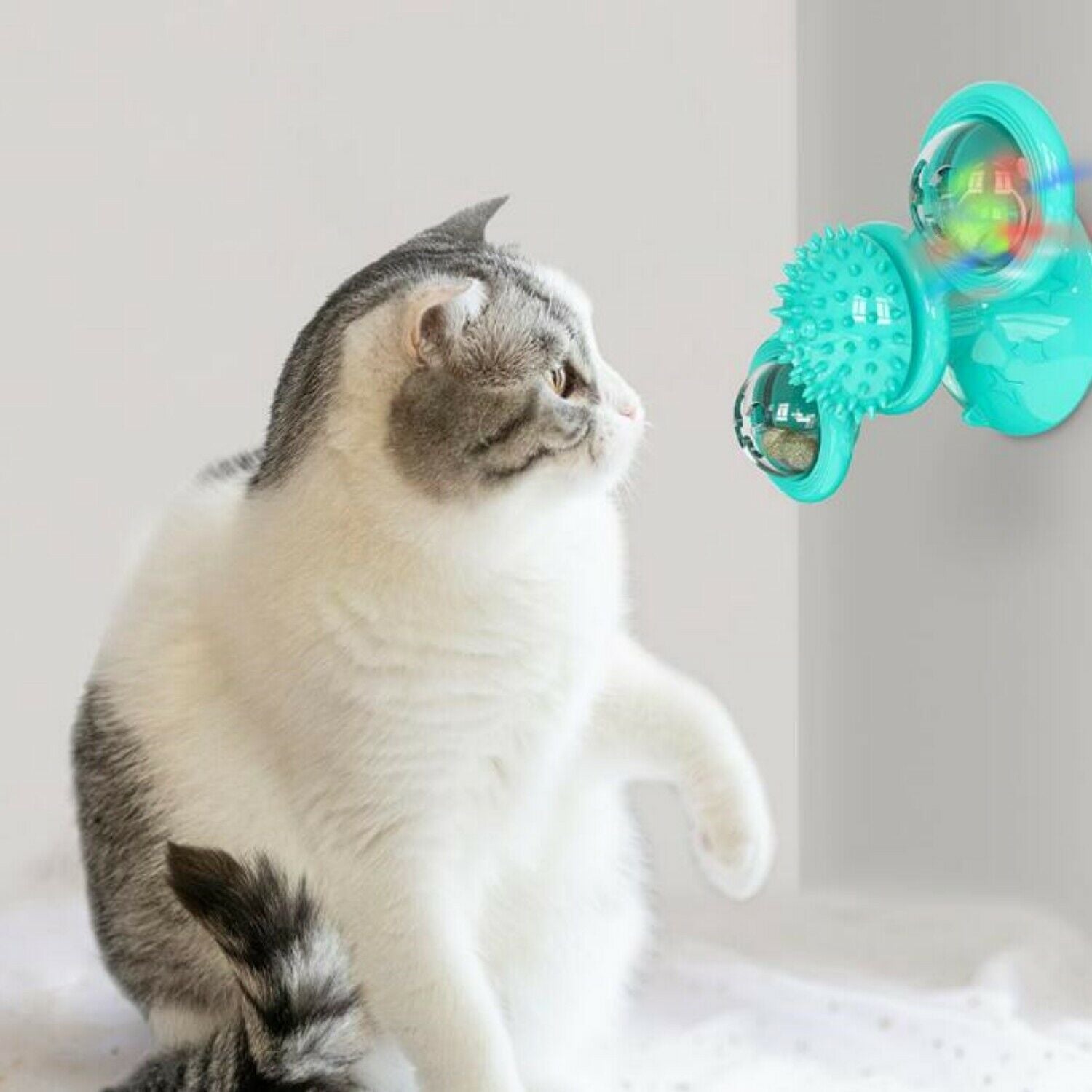 New Windmill Cat Toys