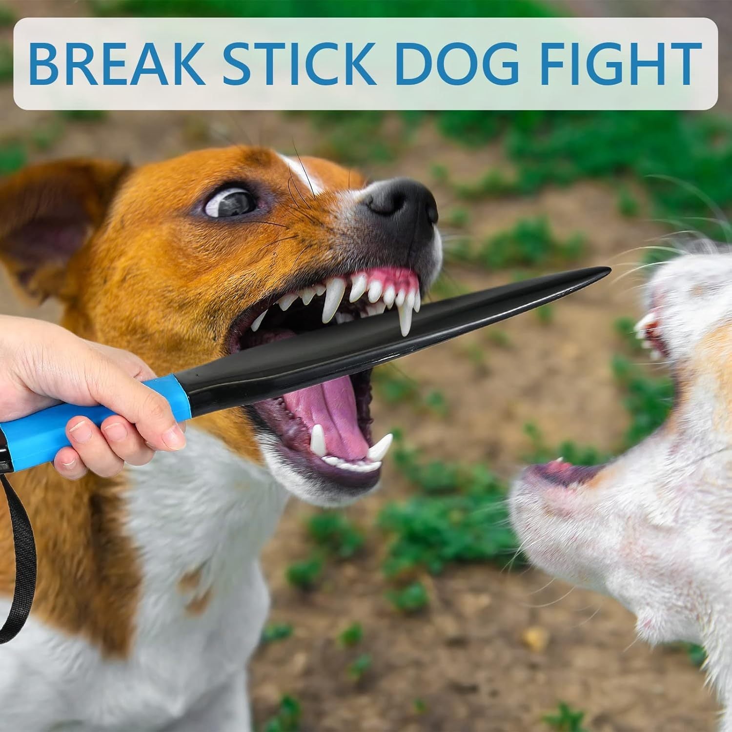 Dog Break Stick for Training and Chew Toy