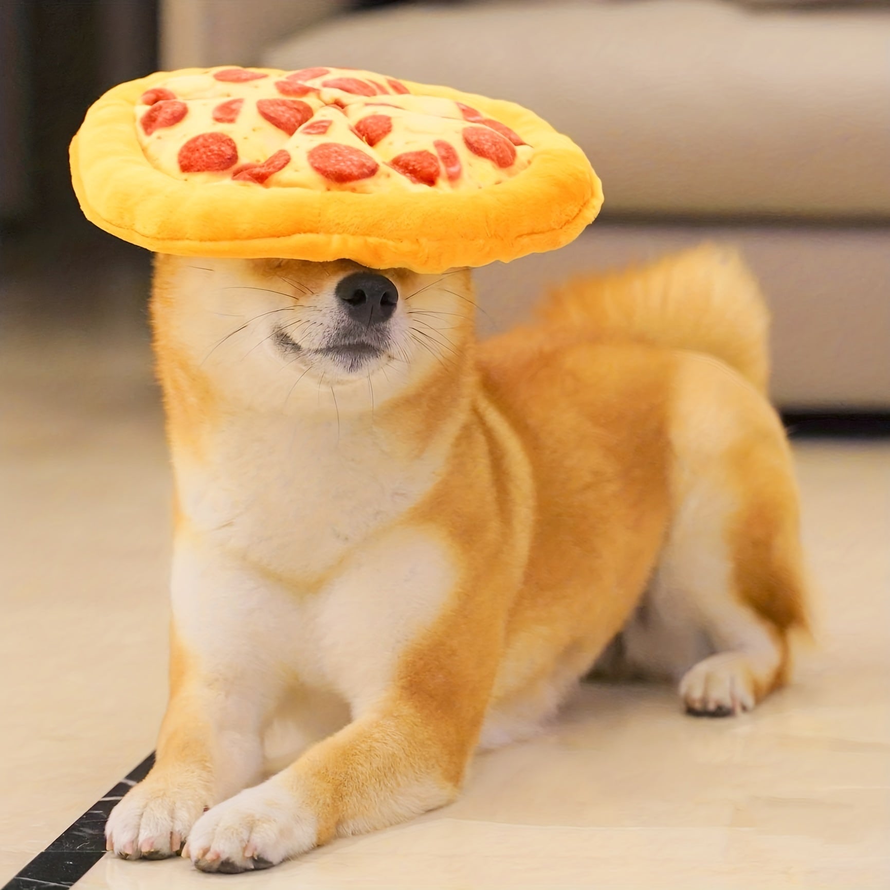 Pet Teddy Toy Pizza