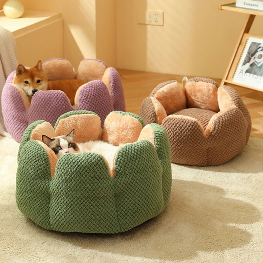 Cactus Petal Soft Kennel