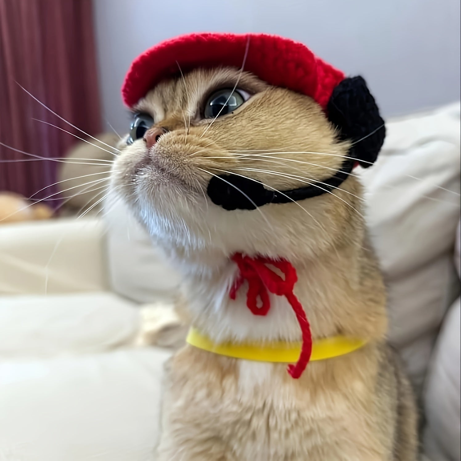 Handmade Cat Chef Hat