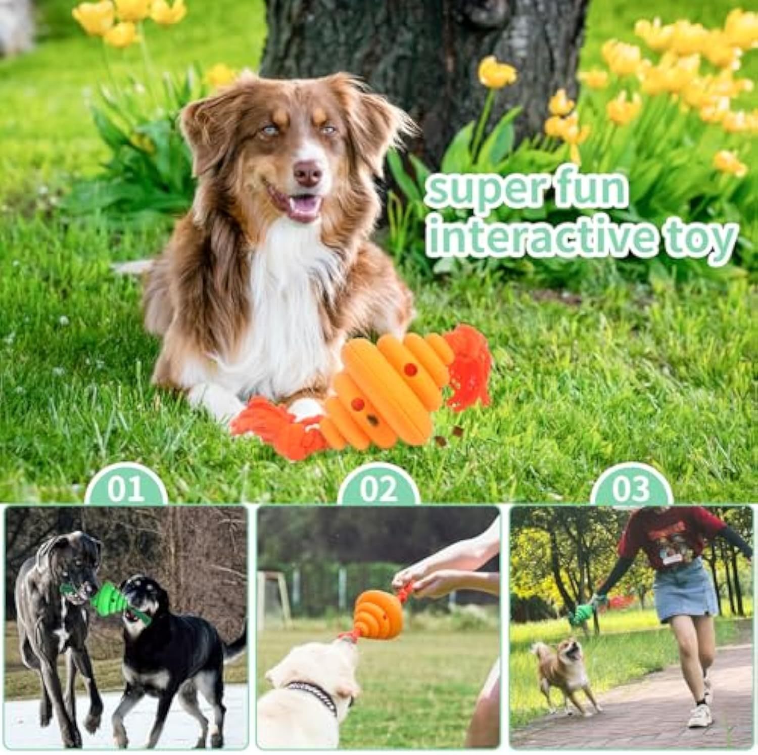 Interactive Dog Ball with Rope Toy